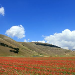 castelluccio di norcia