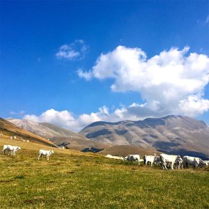 La Valle delle Aquile