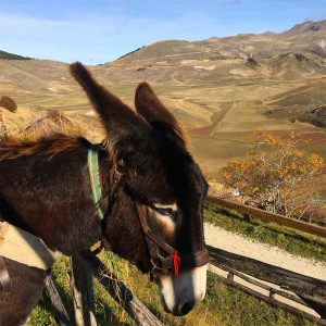 La Valle delle Aquile