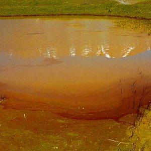 stagno rosso castelluccio