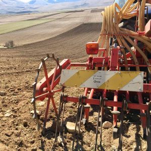 azienda agricola castelluccio