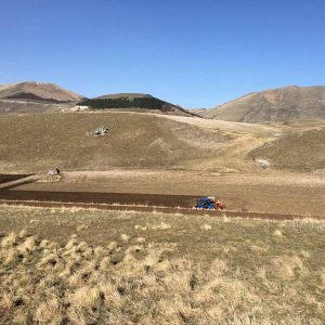 azienda agricola castelluccio