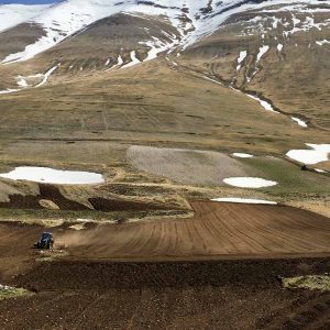 azienda agricola castelluccio